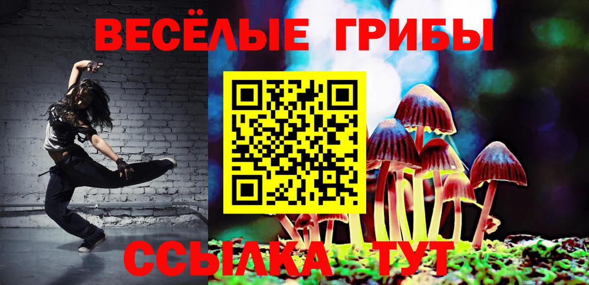 Галлюциногенные грибы Psilocybe  Вход с VPN  Ступино 